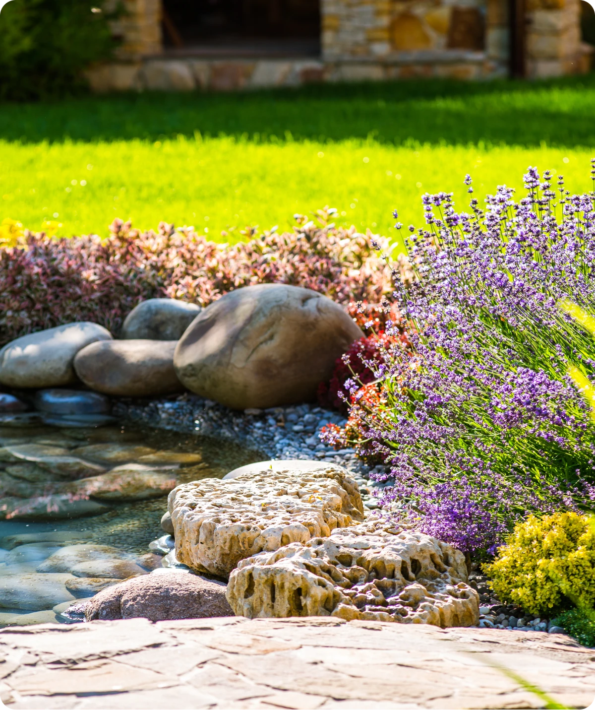 Garden with rocks and lavender flowers