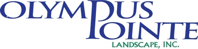 Blue and green company